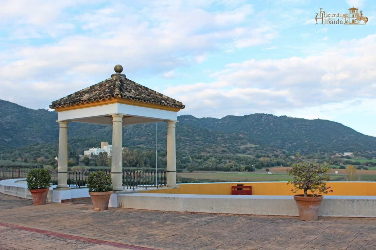 halbaida photo