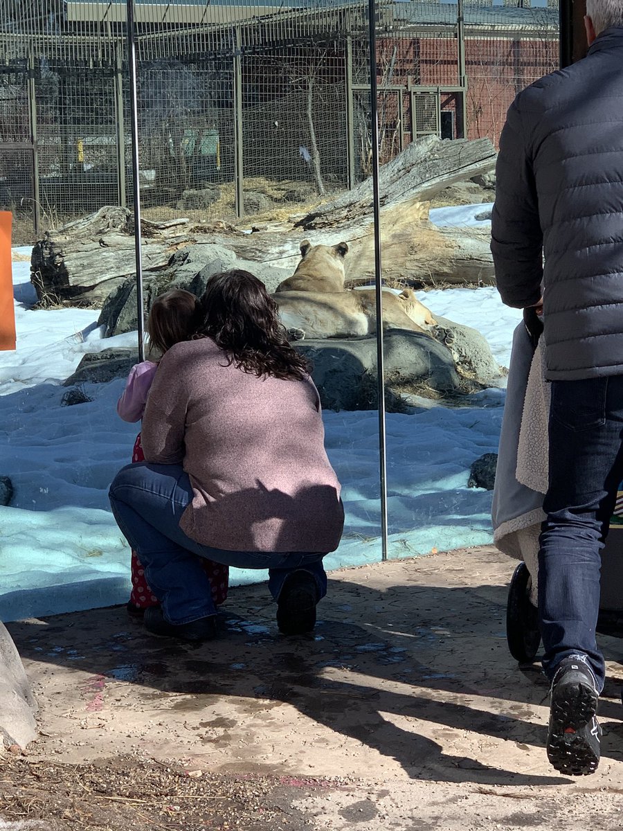 mtarasko's tweet photo. Fun day @calgaryzoo with @JenLea518 https://t.co/Ev0clUKzlT