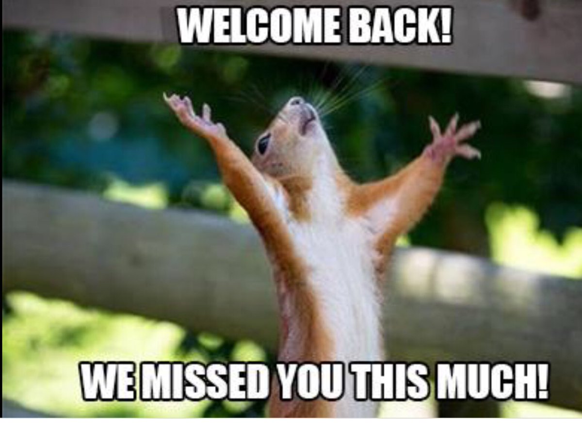 So excited to see the children tomorrow <a href="/Layton_Primary/">Layton Primary School</a>