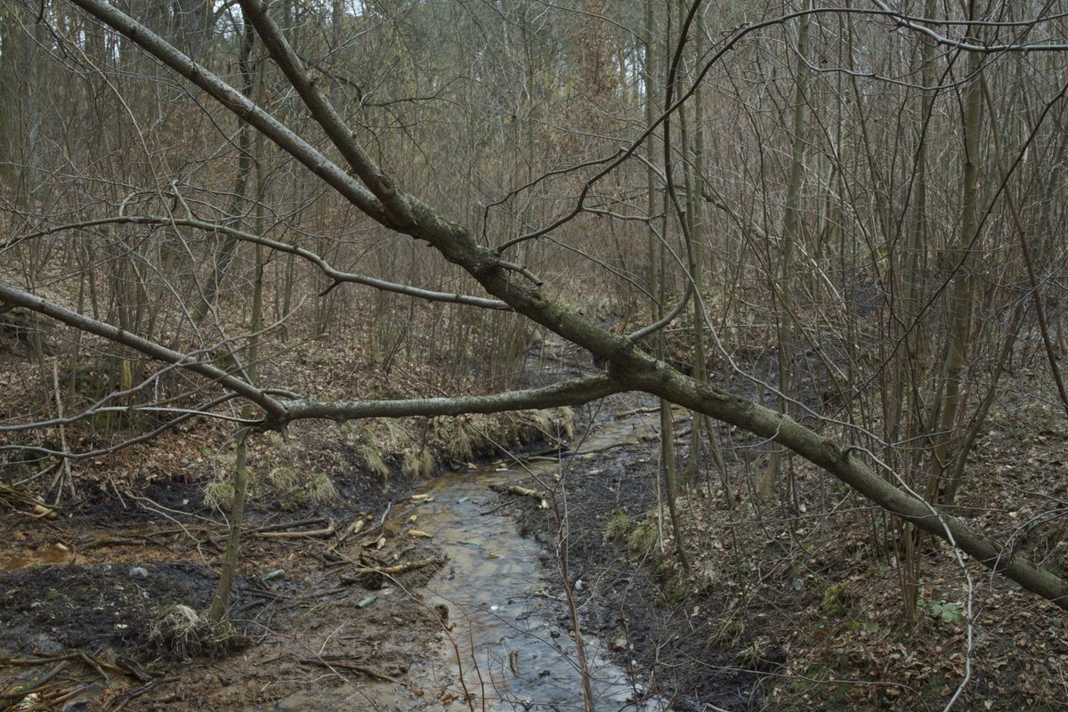 From series “Water”. Zgierz, Poland 2021. More photographs: aboutlandscapes.com #landscape #aboutlandscapes #about #river #water
