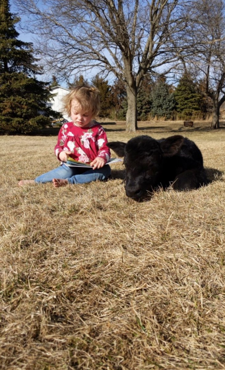 Lily is a strong advocate that reading to her calf is as important as feeding her