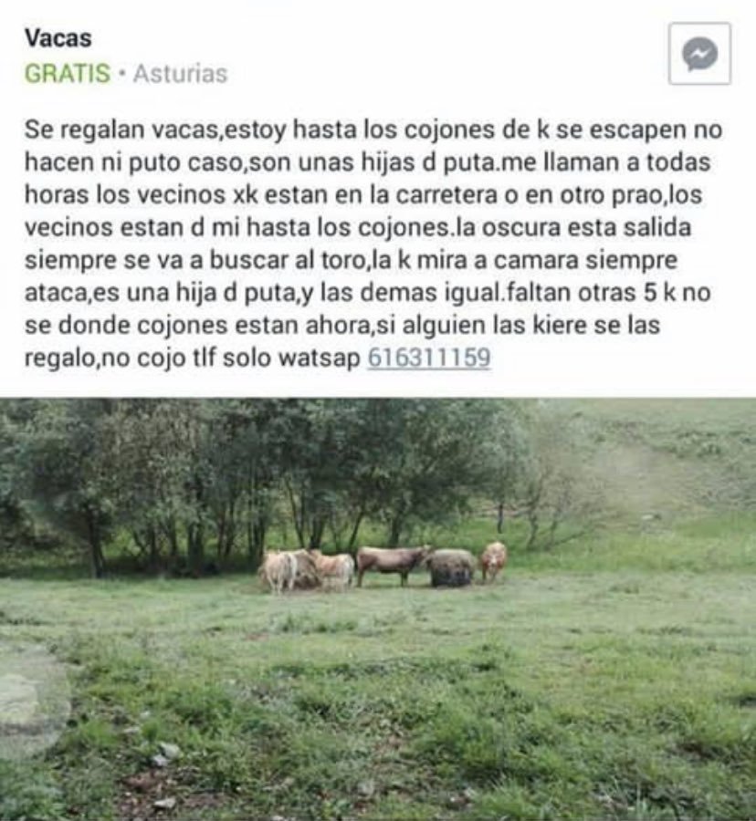 mil anuncios asturias