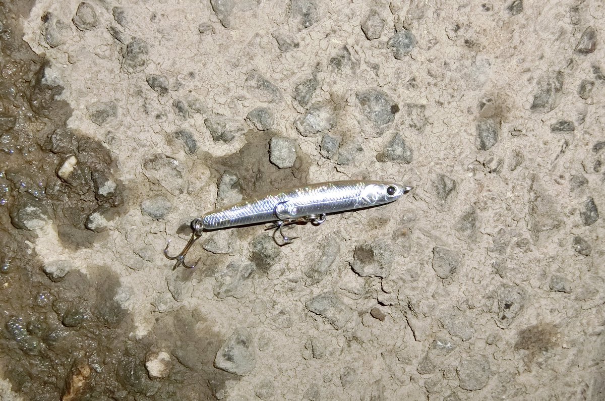フィッシングラボ 釣り侍 Fishinglabo Twitter フィッシングラボ 釣り侍 Fishinglabo Twitter