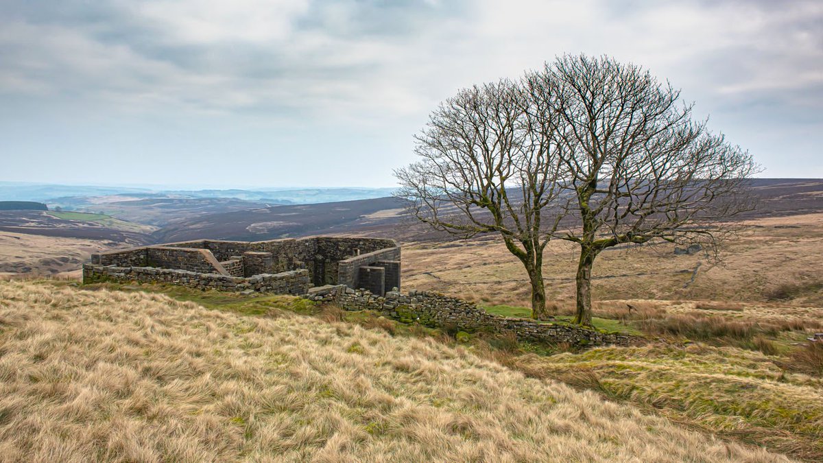 AFowlerPhoto's tweet photo. Click the link to see the full set of photos from yesterday’s walk up to Top Withens https://t.co/RG7MxcRYGO
#haworth #walkshire #welcometoyorkshire #topwithens #topwithins #brontecountry #wutheringheights #visithaworth #visitbradford #visityorkshire https://t.co/4cYuSK39L6