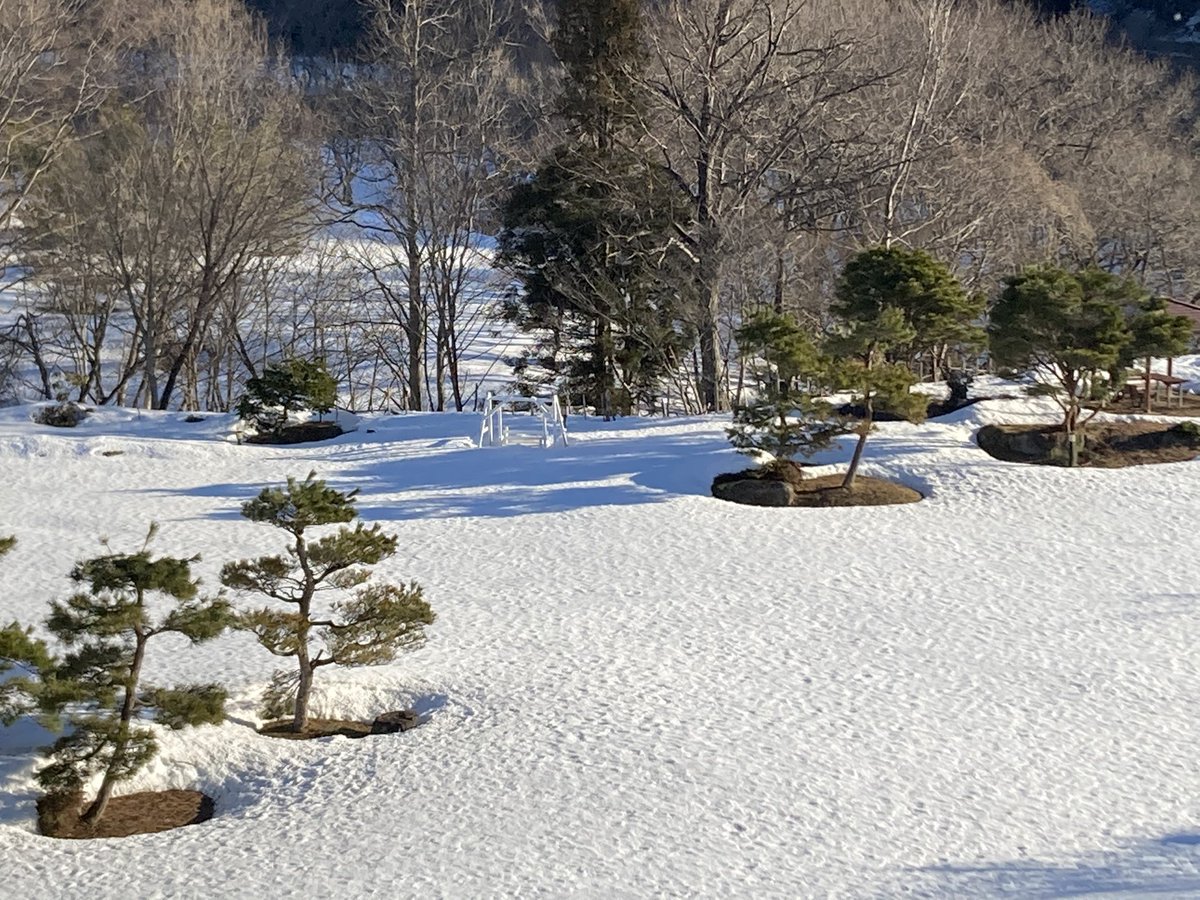 山王山温泉 瑞泉郷 当館のお庭にはまだまだ雪が残っていますが 木の根元から少しずつ春の訪れを感じます こうしてゆっくり雪解けするのですね 瑞泉郷 春の訪れ 雪解け間近 温泉 一関温泉郷 温泉好き お庭景観