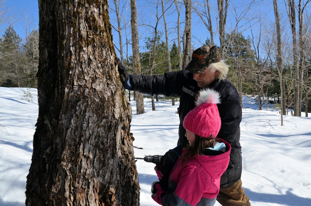 NorthernGinny's tweet photo. We tapped some maple trees with my parents today!
#tappingtrees #maplesyrup #Muskoka https://t.co/op1ywSWjmm
