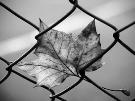 Dalloz's tweet image. Un recours juridictionnel en cas de conditions de détention indignes dalloz-actualite.fr/flash/un-recou…