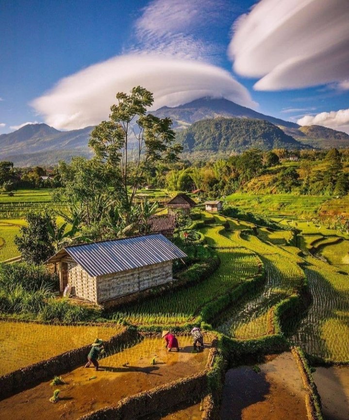 DESA SELOTAPAK
Desa Selotapak - Mojokerto Jawa Timur memiliki objek wisata alam pedesaan indah dgn suguhan pemandangan sawah &amp; gunung. Posisinya di sebuah lembah yg diapit oleh dua gunung berapi, di sblh timur Gunung Pananggung &amp; di sblh selatan Gunung Welirang🌺

#PuspitaNagari