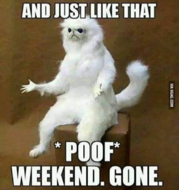 kuda_with_an_h's tweet image. 🙇🏽‍♂️🙇🏽‍♂️🙇🏽‍♂️