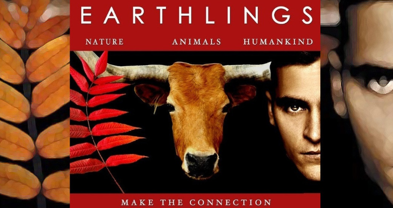 Forks_To_Feet's tweet photo. Top Five Vegan Documentaries to watch during the #Quarantine @veganfoodquest @angie_karan #vegantrends
https://t.co/ln1M0BTa1j https://t.co/iyskTeCif5