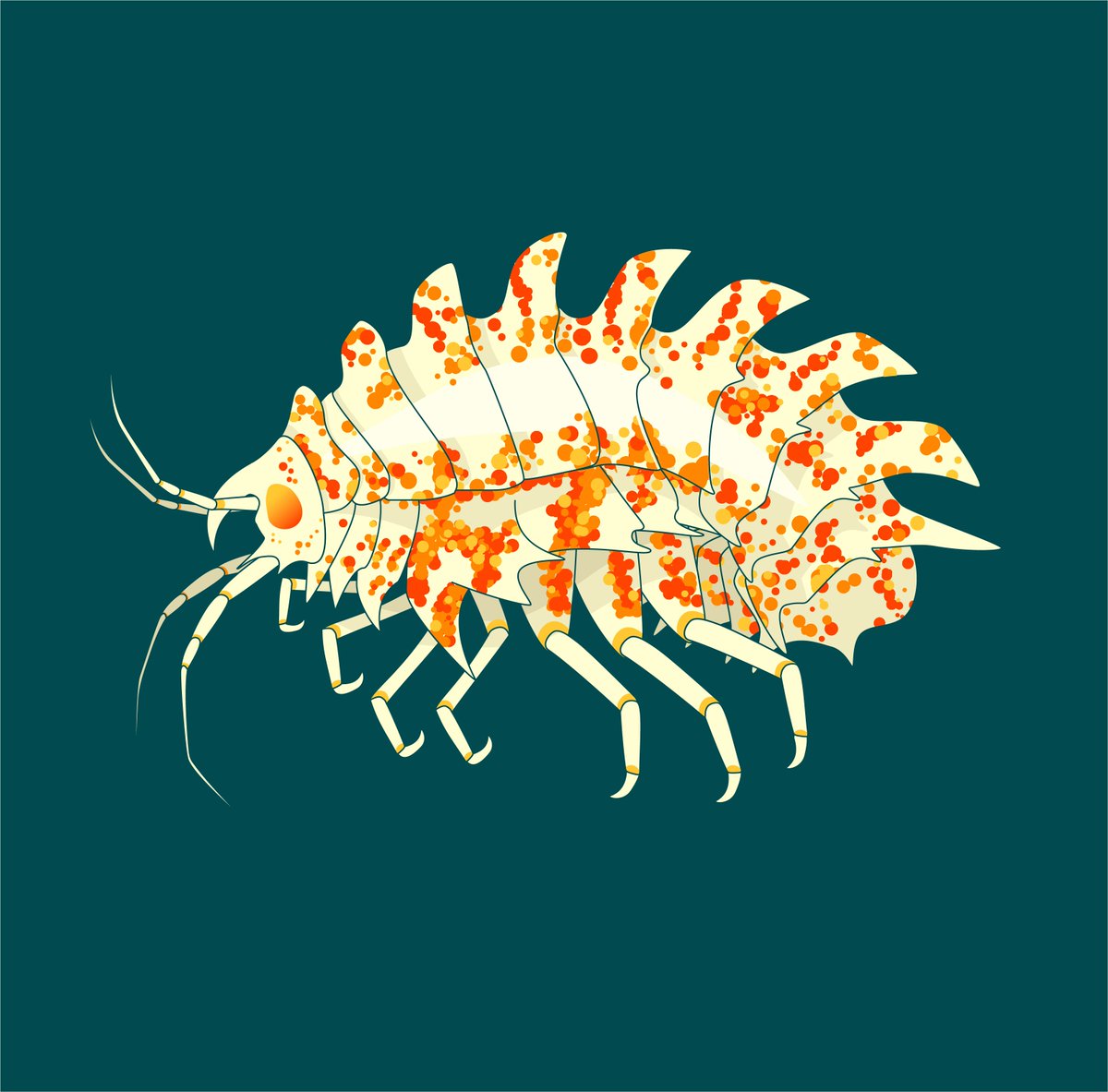 Finally getting around to illustrating some of my favorite #IcyInverts from the cruise, here's Epimeria loerzae!