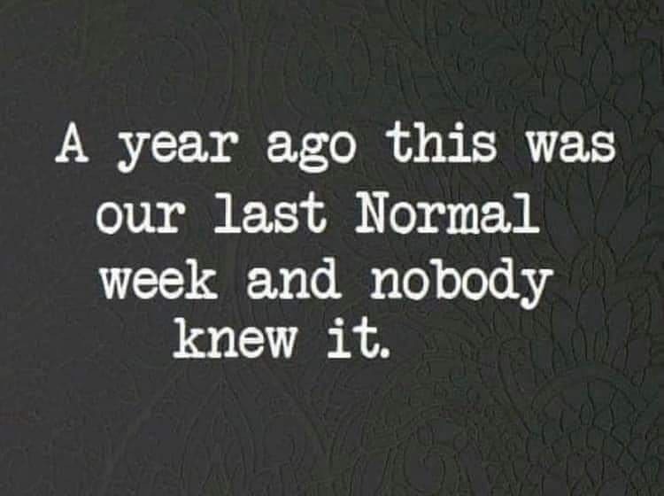 These past 12 months have been insane! 

I can't get over how strange it's been. How a year has felt like 5. How every second felt like a minute long.

We've all suffered with our mental health, we've all missed moments with our families and friends, par… instagr.am/p/CMItzMxD6ym/