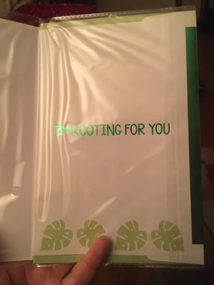 HotHerps's tweet photo. Really tempted to give myself this card just for the hell of it! 😂😂😂 Sometimes we need a little self #encouragement! #PhDChat #AcademicChatter #Plants #RootingForMe https://t.co/CLfkyKj5g1
