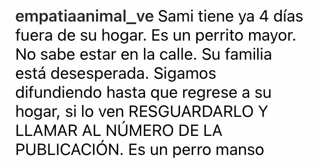 PerroUsuario's tweet photo. Su familia aún lo busca RT @EmpatiaV: Sami 🐕 es un viejito, se perdió hace 4 días por La Lagunita ayúdalo a regresar con su familia 🐾🐶💔
 https://t.co/vo7En2mU6m