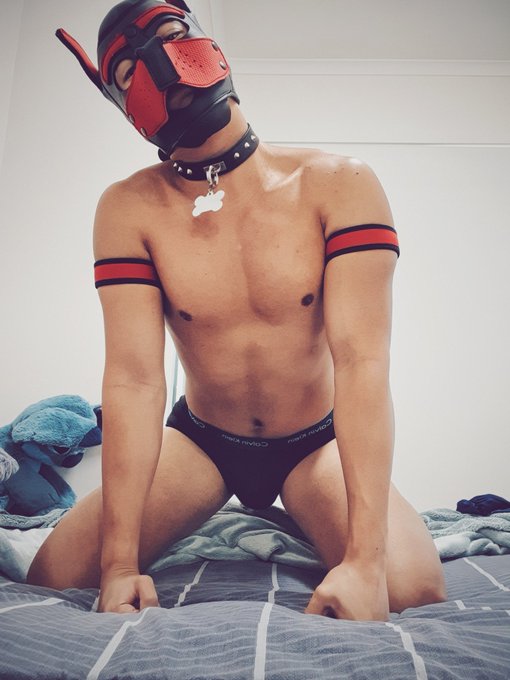 Sit, puppy~ ?? #pupplay #puppyplay #petplay #bdsm #kink #fetish https://t.co/cNQtwcJzS2