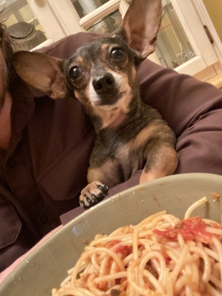 JimmyWayne's tweet image. #SpaghettiNight