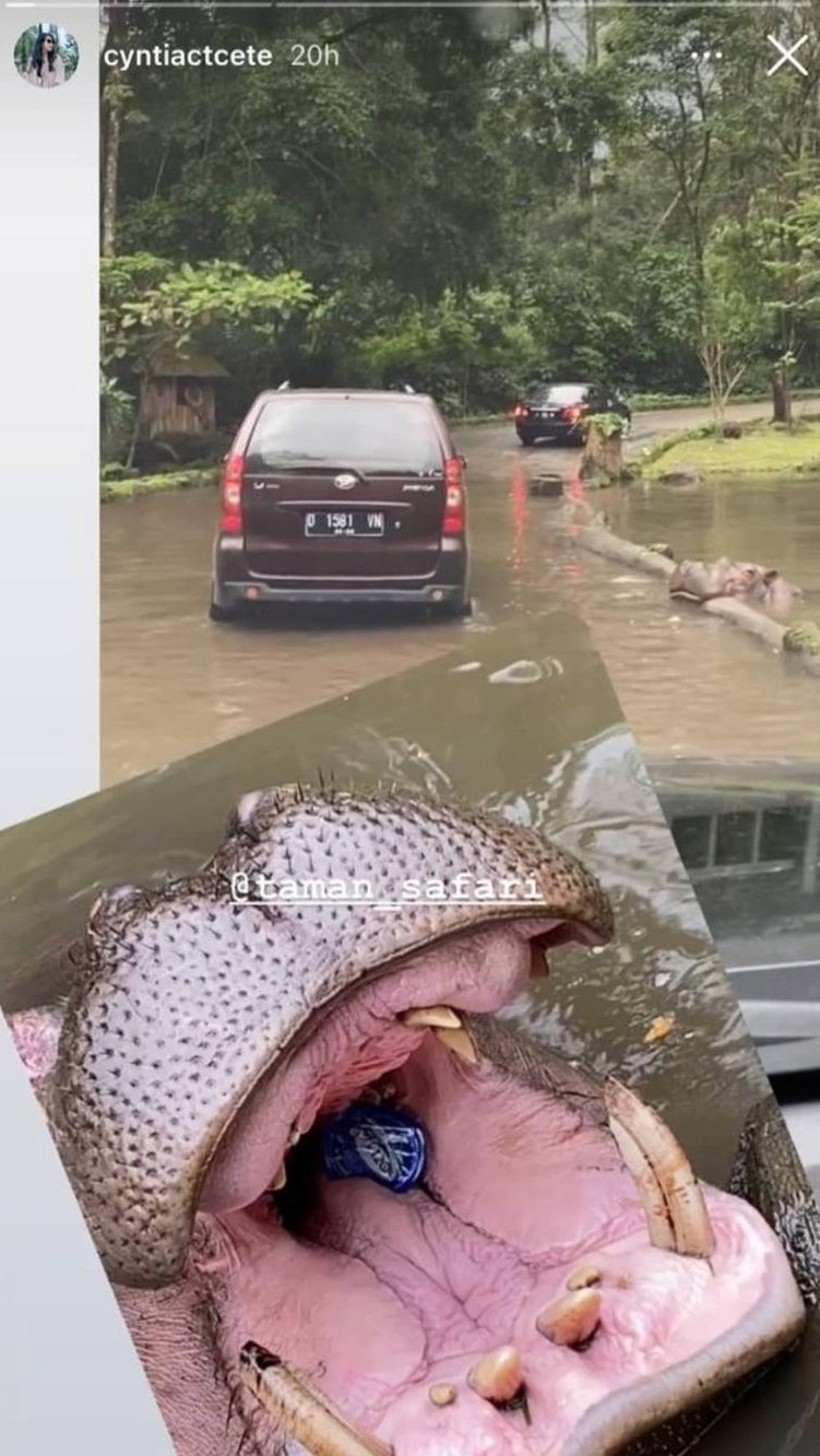 Postingan viral