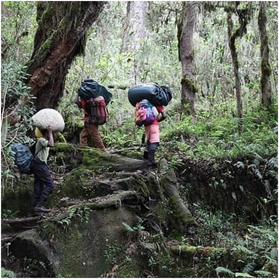 wilderheritage's tweet photo. Porters Are The Backbone Of Every Hiker before Climb To Kilimanjaro!!!

#porter #porter #nature #climbingadventures #climbing_lovers #climber #climbkilimanjaro #mountain #mountains #threepeaks #adventure #adventuretime #trekking #tanzania🇹🇿 #africa #wilderheritage https://t.co/OsUR07tRKv