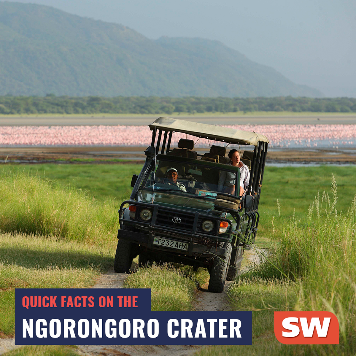 1. Best time to visit: May - Oct
2. Birding: Over 500 species
3. Wildlife: Highest density of animals per square metre on earth
4. Volcano: Largest inactive volcano in the world

Check out our tour to the the spectacular Ngorongoro Crater on our website: swafricadmc.com/project/ngoron…
