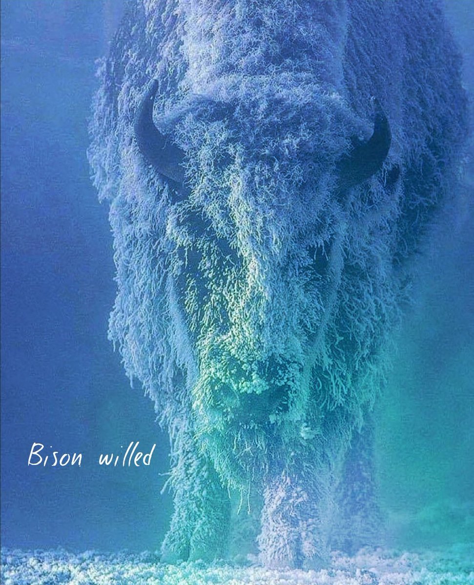 blucyborg82's tweet image. Following your own path on your own pace is the best, no comparison with people nearing the end of their goals, your time is coming 
#ALWYS4WRD
#lessonsnotlosses #tommurphyphotography