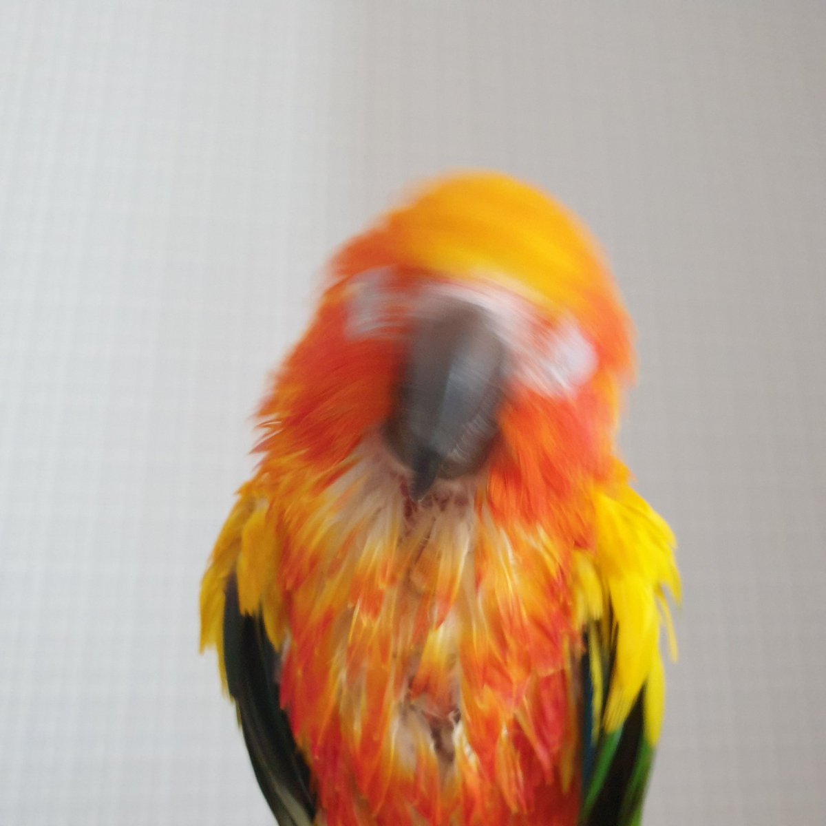 ㅋㅋㅋㅋㅋㅋㅋㅋ귀여워 흔들린것두 귀여워