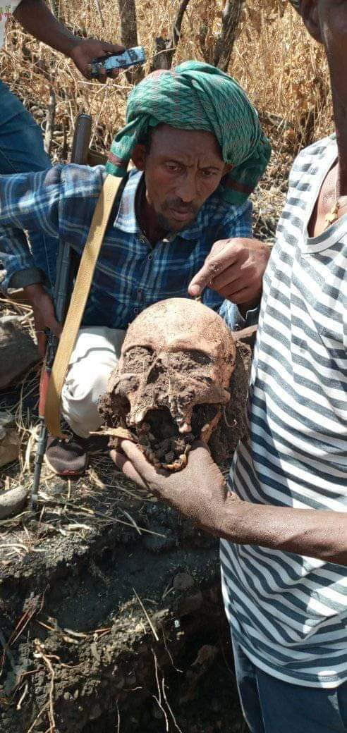 Sintaye96008636's tweet photo. ወያኔ #TLPF አማራ የሆኑትን እየለየ በመግደል በወልቃይትና ጠለምት በምታዩት መልኩ አፅማቸው እየተለቀመ እየወጣ ነው! ባለፈው ጥቅምት ወርም በማይካድራ ንጹሃንን መጨፍጨፉ የሚረሳ አይደለም! https://t.co/sCs30nXC6K