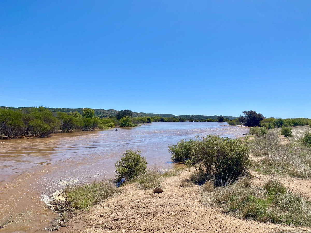 PhoebeRoyce's tweet photo. We have a river! Levy banks? Not so much... Keeping a close eye on those flood waters as they creep through our paddocks &amp; closer to the house 👀 https://t.co/M4VRYlhUyl