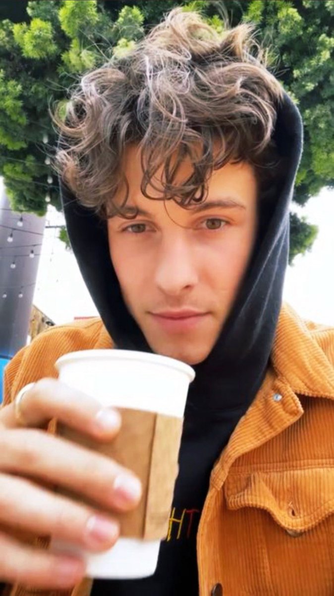 if  you  stan :

       - harry  styles
       - shawn  mendes
       - their  matching  layered  fits  n 
          cute  curls   <3

 rt  this  to  gain  mutuals !