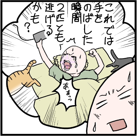 こんなんになったら焦りますよねぇ?w
#ニャンコ  #まんが #マンガ #4コマ漫画 #四コマ漫画 #猫  #ねこ #猫あるある #猫漫画 #ペット #飼い主 #エッセイ漫画 #キャット #ねこのいる生活 #猫ばか 