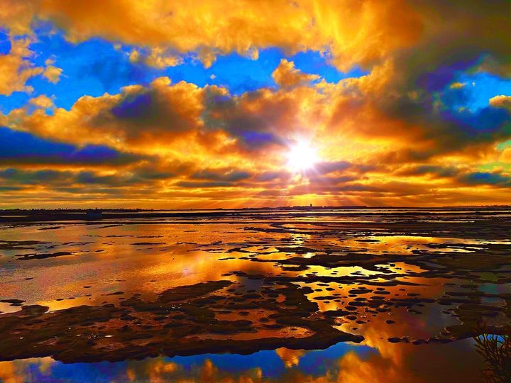 ZrmFitness's tweet image. End to a busy week and ready to start the new week. Gained some skills and most importantly had some fun. #hardwork #sunset #sunsetshots #sunsetsofinstagram #hustleandmotivate #gettingitdone #entrepreneurlife #californiasunset #sandiegosunset #sunsethttps://www.facebook.com/zrmfi