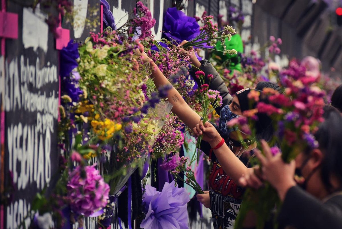 Estas fotos de <a href="/lilifavela_/">Liliana Favela</a> son todo lo que necesitaba para llenarme de luz, esperanza y optimismo