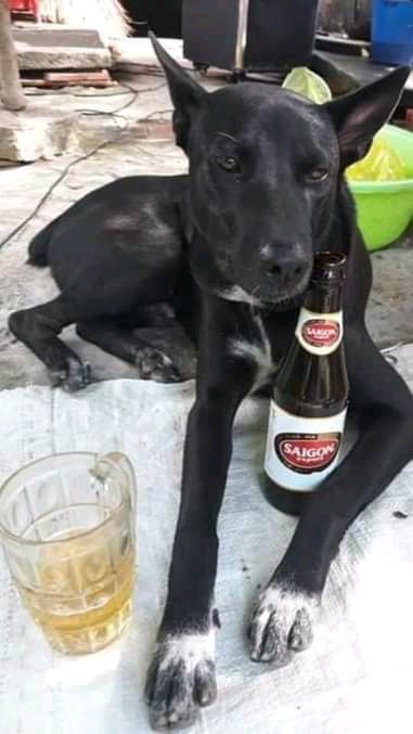 CaballeroRojo78's tweet photo. Vamos a hacer algo tranqui? https://t.co/GZCq7WsjAG