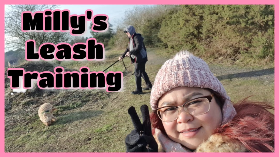 Dalyesha's tweet photo. Today's Vlog
#dogsoftwitter #dogs #FitnessMotivation #photography 
#DogLover #photooftheday #nature #vlogger #TrainingDay #Tweet #fitness #lifestyle @dogs @tweet
https://t.co/Anms3apVj9 https://t.co/VY8k361KH5