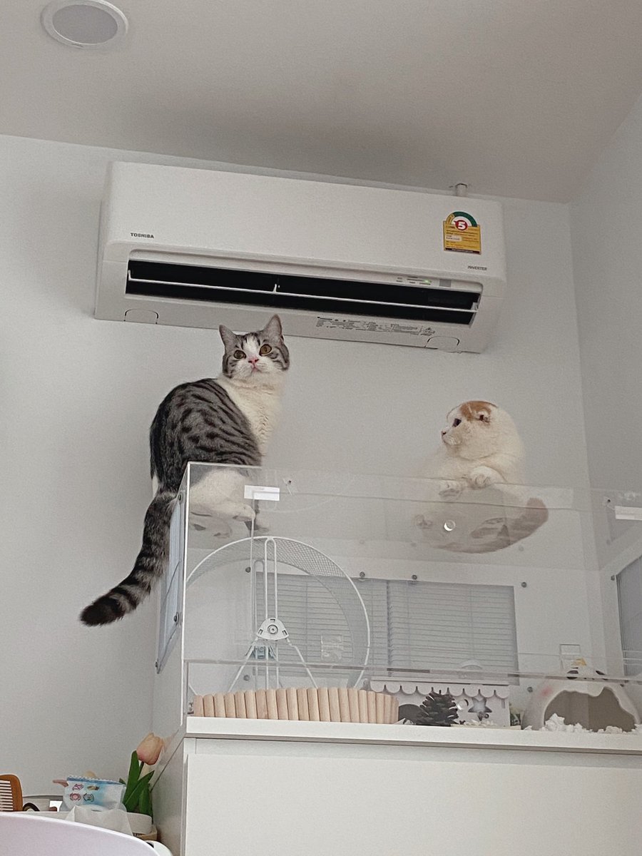 บ้านพี่บรูซกำลังจะพังใน 3 2 1.......