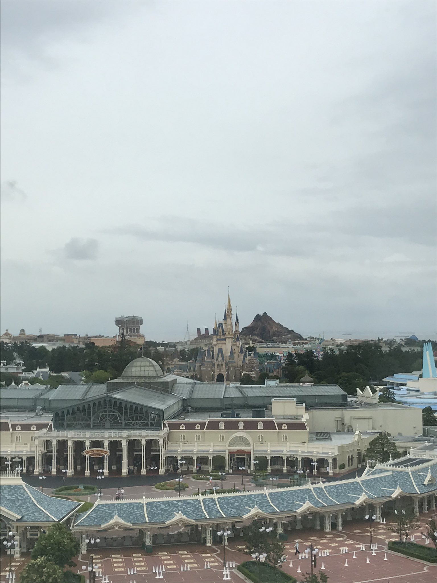 Dキチ Disney垢 Dkichi Disney Twitter
