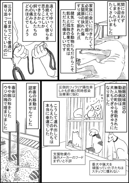 動物を飼っている方へ。

とりとめのない、個人的な思いです。
1/5
@4RewJJOmWiLzR7L 