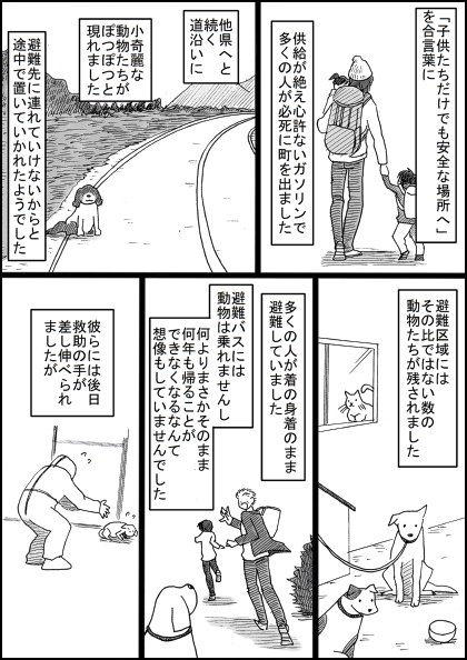 動物たちが生きていることで救われる 東日本大震災でペットや家畜の生死を見てきた獣医師からの切実な願いが胸を打つ Togetter