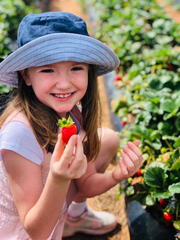 Strawberry picking on a stunning autumn day.... #PickMeBeerenberg