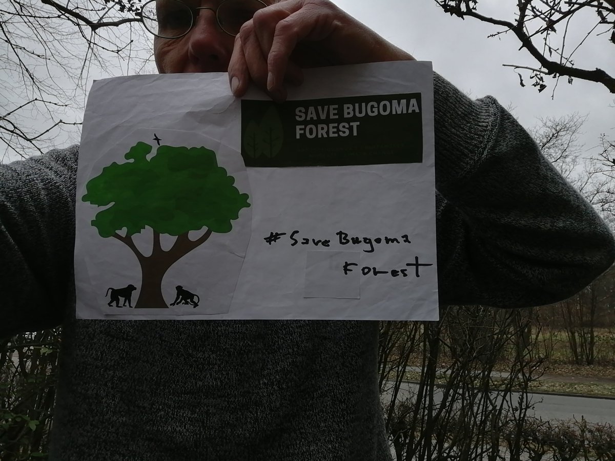 endelstamberg's tweet photo. I am Endel Stamberg, a climate activist from Germany. Uganda forest cover has depleted to 8%. And one of the forest in Uganda has been sold for agribusiness.  I’m calling upon activists around the world to add their voices on mine and #SaveBugomaForest! 
@KaoHua3 @Greenpeace https://t.co/b9g69dZ6yY