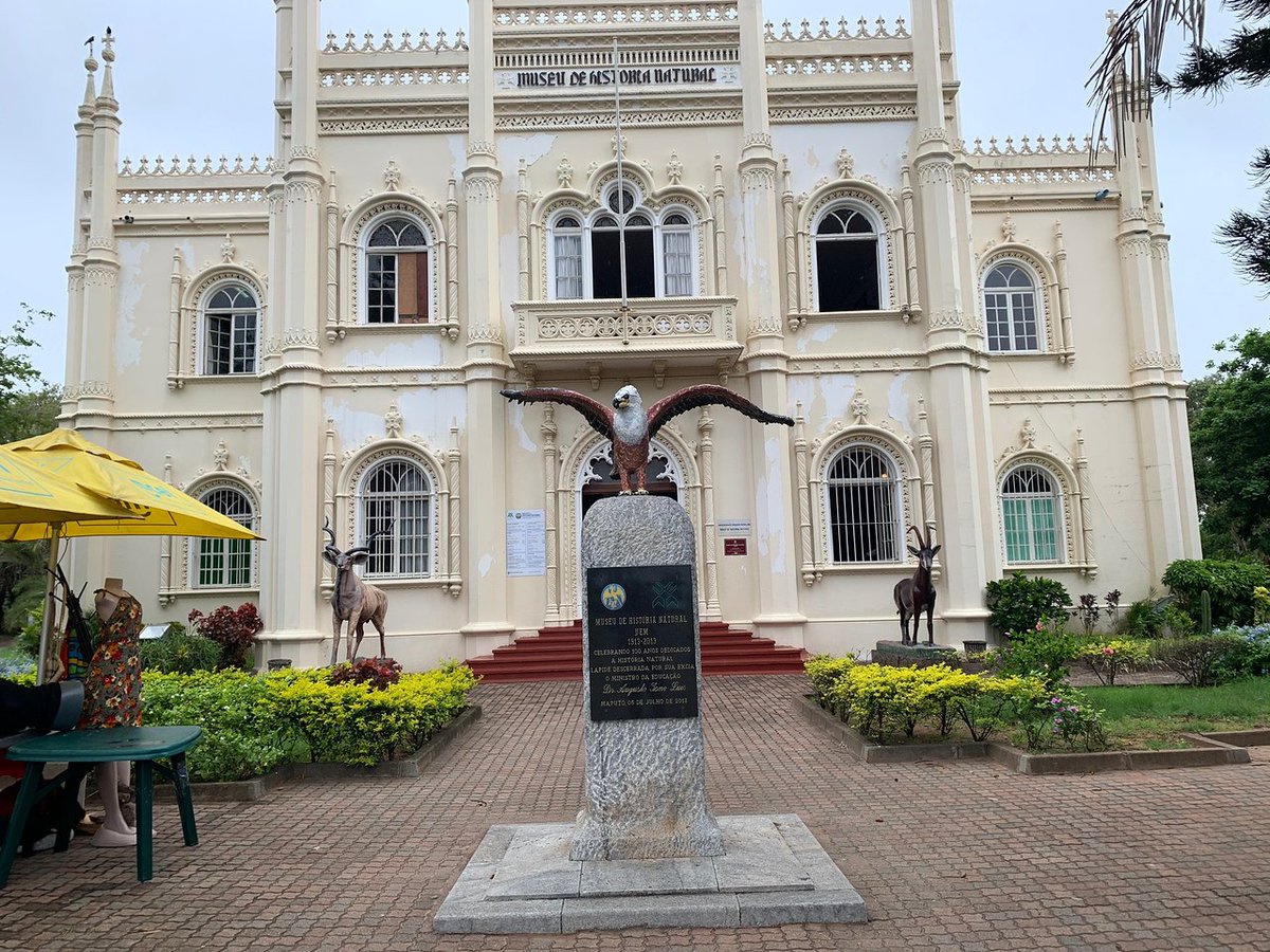 Next on our trip around the world, we're off to visit Mozambique, located in the south of Africa on the Indian Ocean. Our first stop, the Natural History Museum of Mozambique. It was established in 1913 as a Provincial Museum that was moved around to different locations, then....