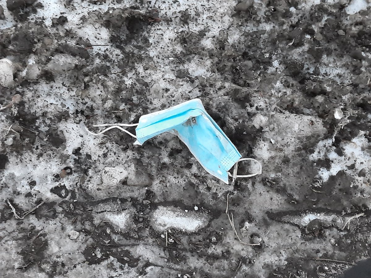 ToWhatEnd1's tweet image. Winter, Ottawa, 2021