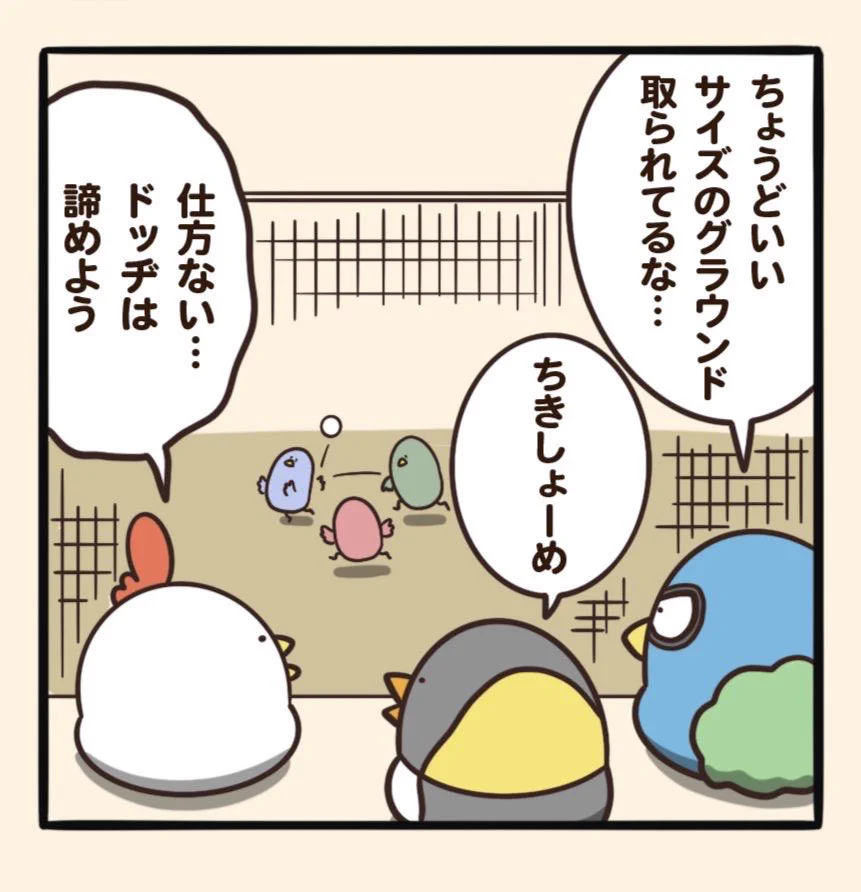 @debu_dori 向こうも三羽だから
交流試合すればいいのに 