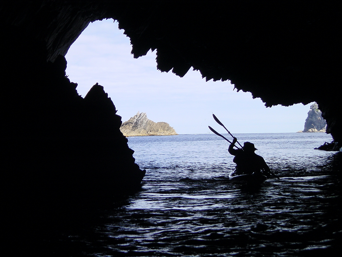 Roaring 40s Kayaking tweet media