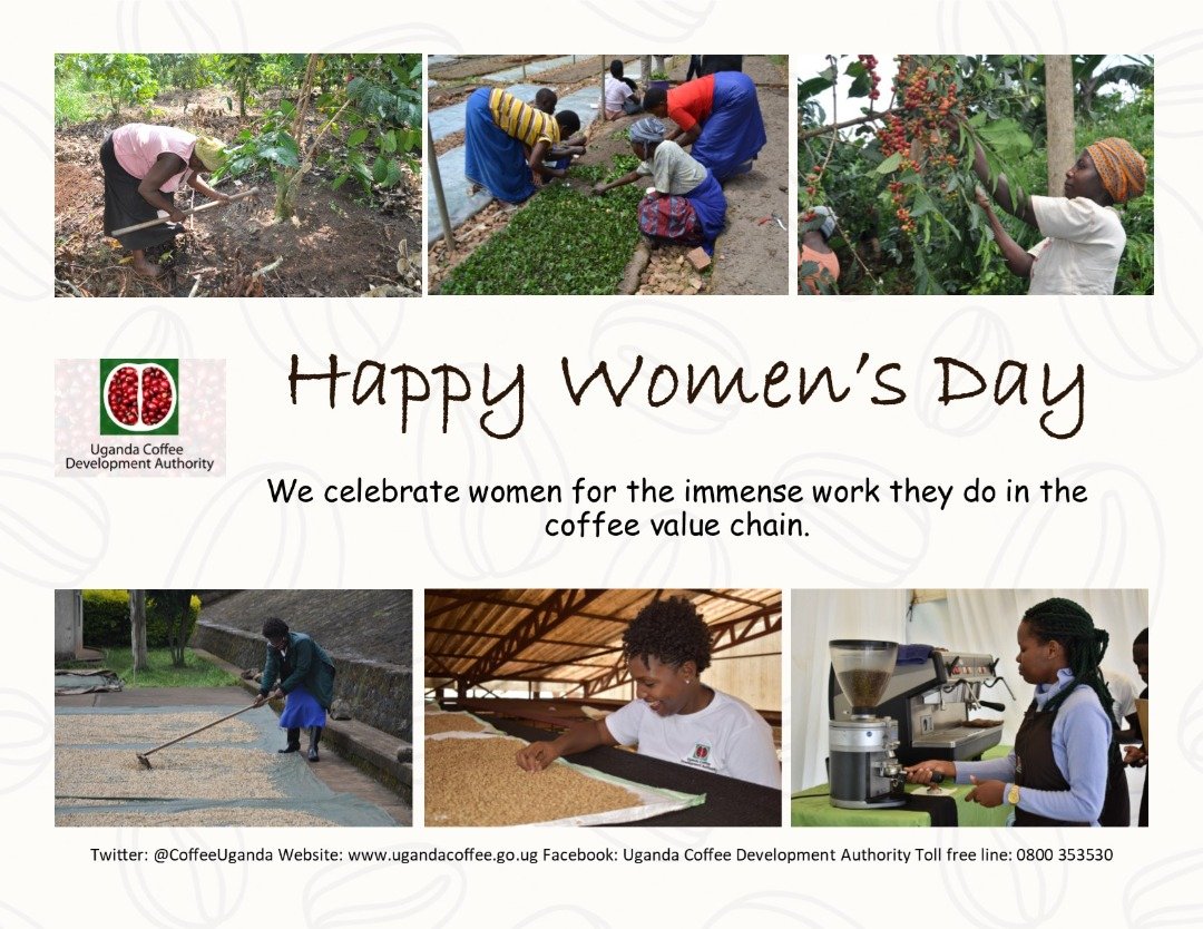UgandaCoffee_'s tweet photo. We celebrate women for the immense contribution they make in the coffee value chain. Happy #womensday2021 https://t.co/26Gh6CVARc