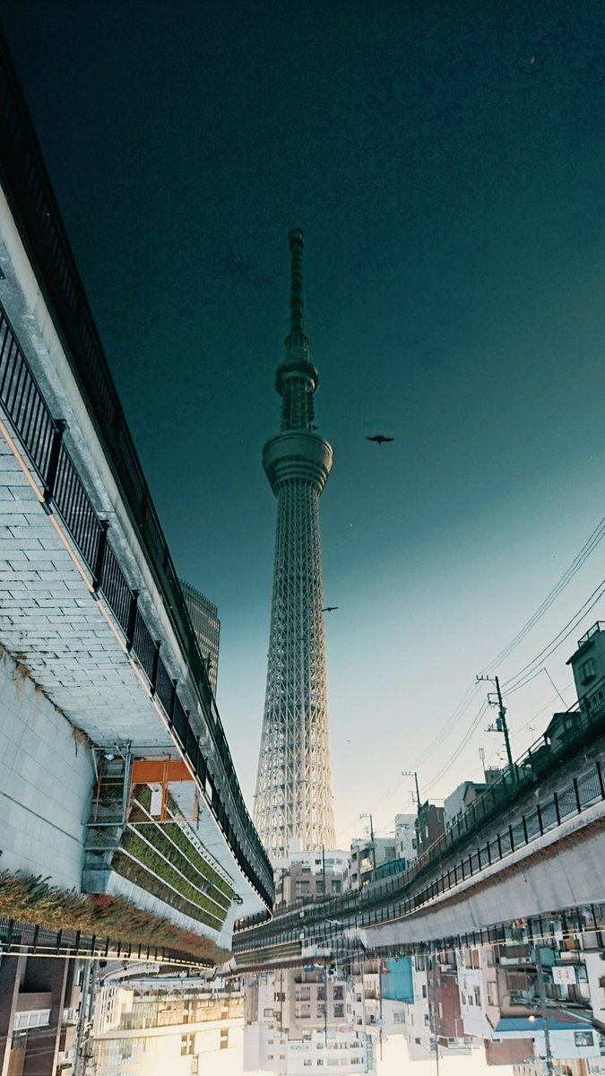 風の吹かない夕方 静かな川に映り込んだ 逆さまスカイツリー に脳がバグりそう 21年3月14日 Biglobeニュース