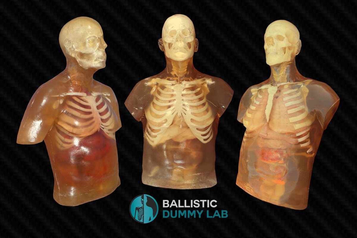 Ballistic Dummy Lab added a new photo. - Ballistic Dummy Lab