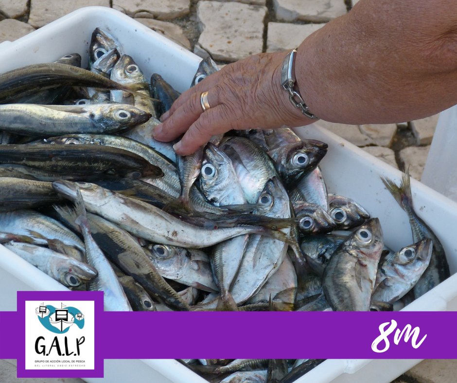 ¡Feliz DÍA DE LA MUJER! 

Hoy nuestro recuerdo y homenaje es para aquellas mujeres que abrieron camino... y todavía hay tanto por hacer. 

<a href="/GALP_Estrecho/">GALP Cádiz Estrecho</a>  #8M #DíadelaMujer #Pioneras #SectorPesquero #MuchoPorHacer