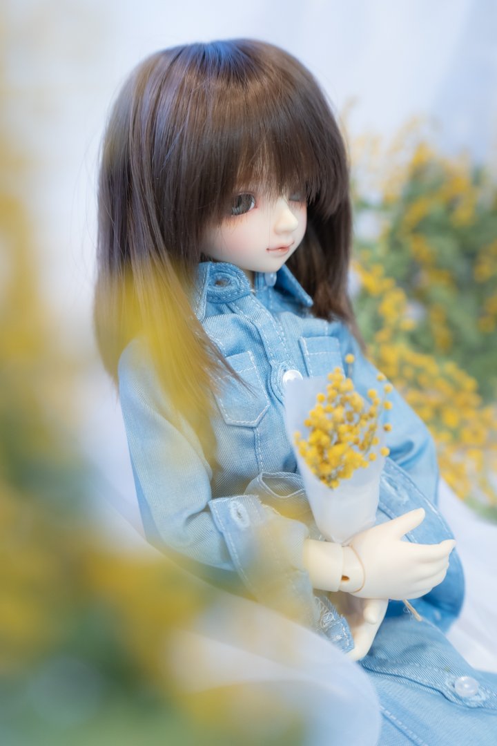 miki_tea2945's tweet photo. #ミモザの日
#msd29 #sdm29
#スーパードルフィー https://t.co/D01AemjdlS