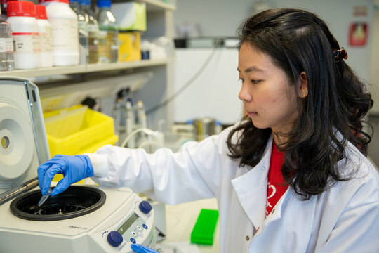 British Heart Foundation tweet media