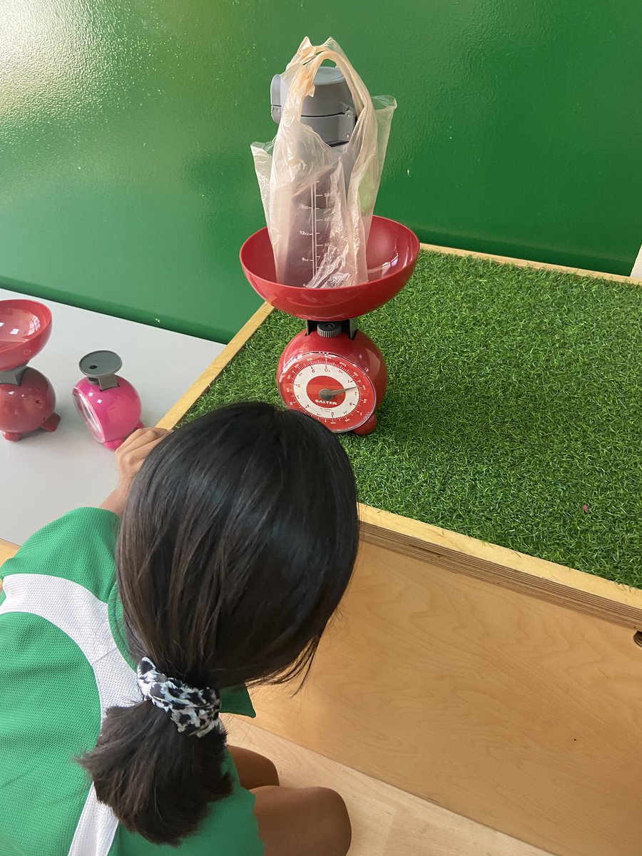DESSyear5's tweet photo. @DESSyear5 5red investigation the force of Gravity to see it there is a link between mass (g/kg) and weight (N) #dess_science #yearfivered #forces #gravity #sirisaacnewton https://t.co/uJo1Fck9vn